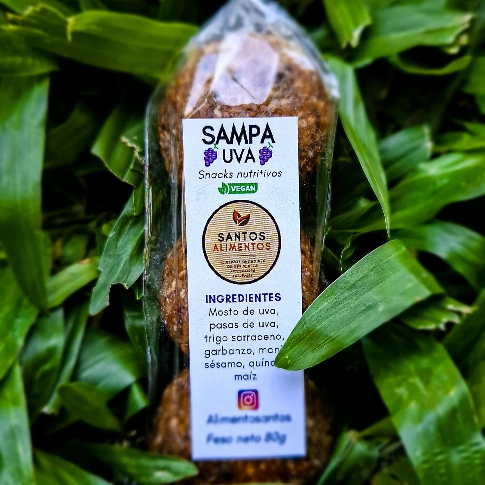Snack Nutritivo Sampas — Arándanos Vegano